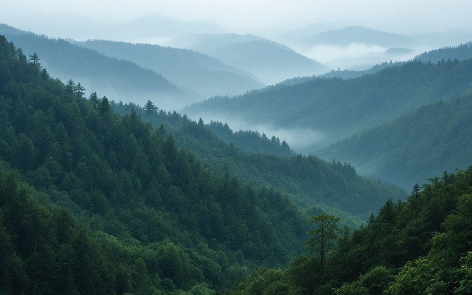 A layered ridge line in mist, flat light, wide