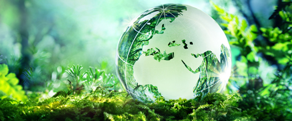 Top Environmental Safety Organizations in Virginia