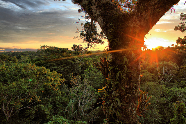 Measures By The Government To Preserve The Wildlife And Landscapes